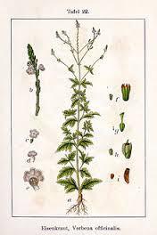 Essential Oil Blend Encouraging (Verbena Lemon)