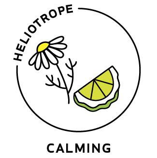 Essential Oil Blend Calming (Chamomile Bergamot)