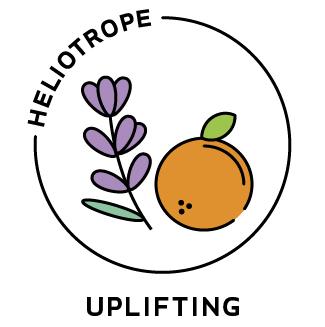 Essential Oil Blend Uplifting (Lavender Citrus)