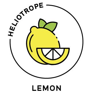 Essential Oil - Lemon
