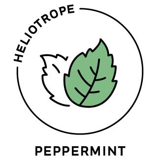 Essential Oil - Peppermint